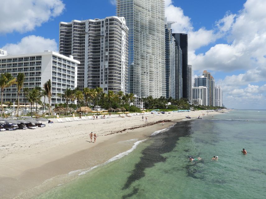 Mancha de sargazo en playas de Florida.&nbsp;