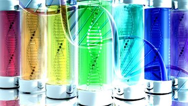 El dopaje genético promueve la regeneración muscular, el aumento de la fuerza y la protección contra la degradación de estos tejidos. (Archivo)