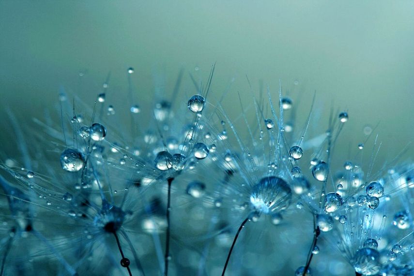 En líneas generales, pensamos que la sensación de calor depende exclusivamente de la temperatura ambiental, pero en realidad suele estar directamente vinculada a la humedad. (Archivo)