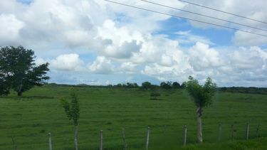 Muchas de las tierras que una vez produjeron alimentos en Cuba, actualmente están sin cultivar.
