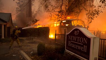 El presidente estadounidense, Donald Trump, culpó hoy a las autoridades californianas de una absoluta mala gestión en los devastadores incendios que vive el estado y amenazó con cancelar futuras ayudas federales.