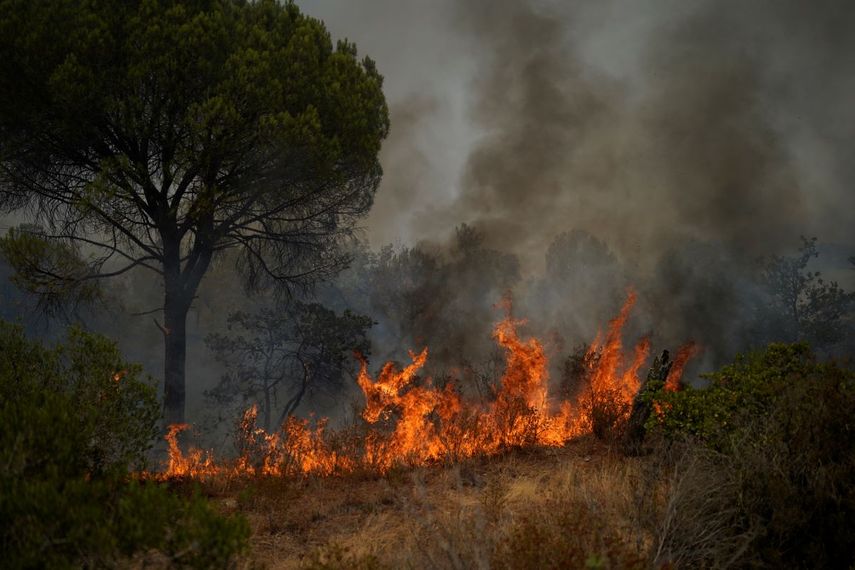 Un incendio en un bosque cerca de Le Luc, sur de Francia