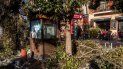 Ramas rotas se amontonan en las calles de Madrid, el jueves 14 de enero de 2021. Con montones de hielo y nieve todavía cubriendo la mayoría de sus calles, la capital española ha comenzado a lidiar con el problema de la basura y los escombros apilados en las calles. Ramas rotas se amontonan en las calles de Madrid, el jueves 14 de enero de 2021. Con montones de hielo y nieve todavía cubriendo la mayoría de sus calles, la capital española ha comenzado a lidiar con el problema de la basura y los escombros apilados en las calles.