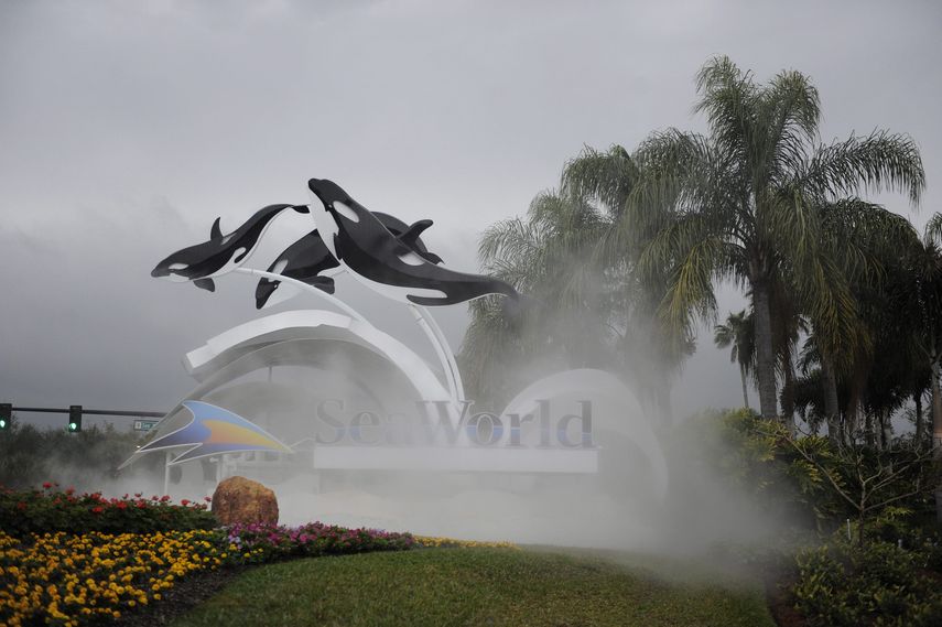 Vista general del parque temático SeaWorld (Mundo Marino) de Orlando, Florida (EE.UU.). EFE/Archivo