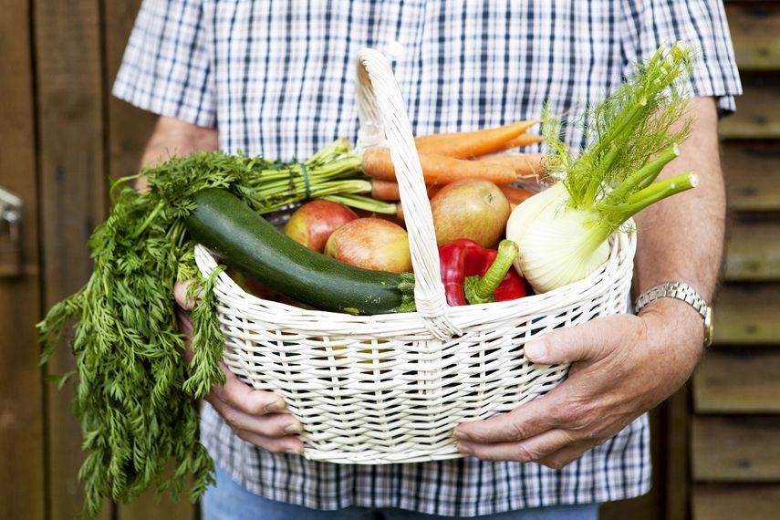 Alimentaci&oacute;n rica en verduras y frutas es recomendable para obtener un estado de salud &oacute;ptimo&nbsp;
