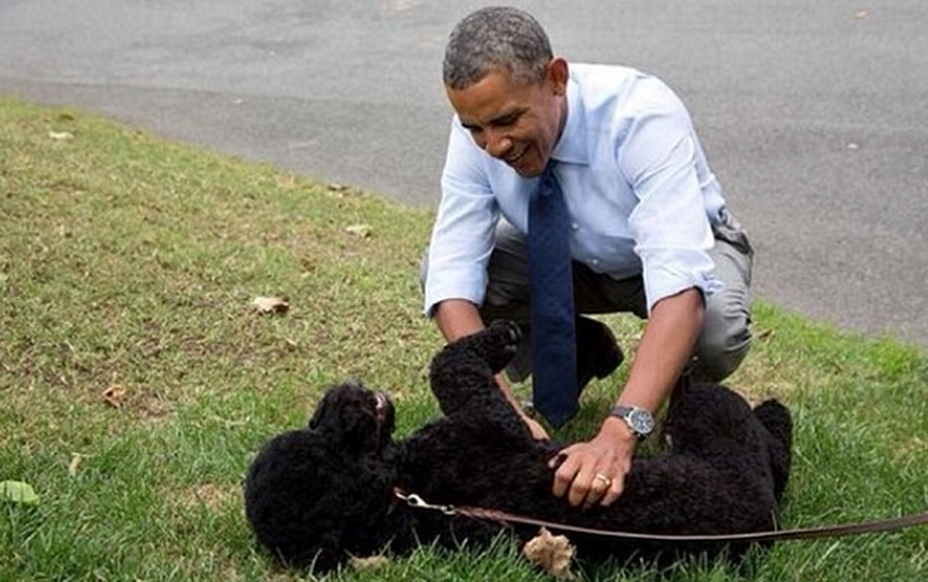 Barack Obama acaricia a su perro Sunny. (INSTAGRAM).