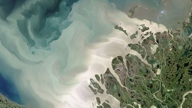 El sedimento del río Mackenzie de Canadá desemboca en el mar de Beaufort en remolinos lechosos en esta imagen satelital de 2017. 