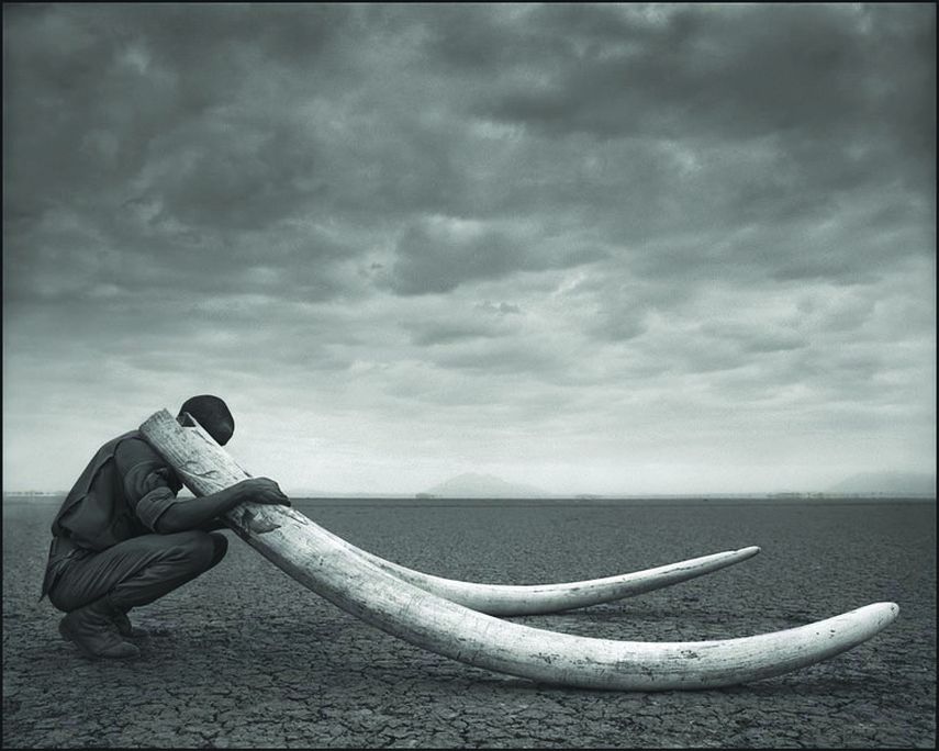 Nick Brandt más que un fotógrafo es un retratista del mundo salvaje