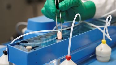 Esta imagen proporcionada por Pfizer en octubre de 2021 muestra las pastillas del medicamento Paxlovid contra el COVID-19 de la farmacéutica.