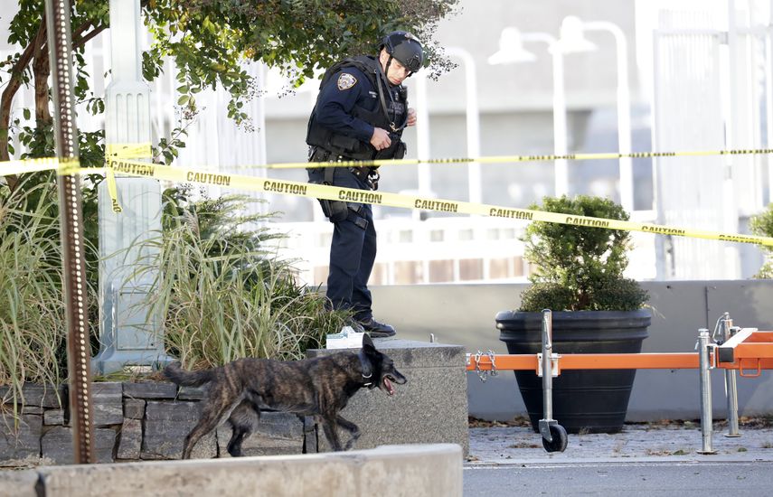 Perros entrenados participaron en la labor de búsqueda de evidencias en la escena del atentado cometido este martes en Nueva York.&nbsp;