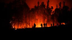 Voluntarios llevan suministros para los bomberos cerca de un incendio forestal en Puren, Chile.
