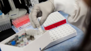 Investigadores reportan que la primera&nbsp;vacuna&nbsp;contra&nbsp;COVID-19&nbsp;probada en Estados Unidos estimul&oacute; sistema inmunitario como se esperaba.