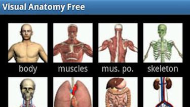 La aplicación Visual Anatomy Free | Internet