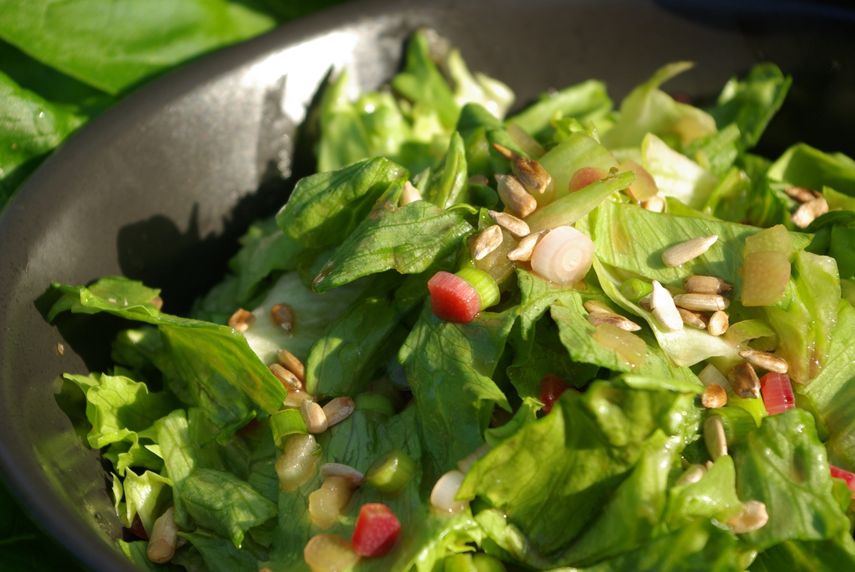 Los especialistas señalan que para lograr tener a raya el colesterol la dieta debe incluir frutas y verduras