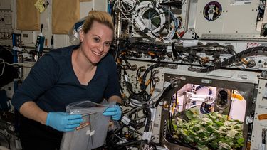 La astronauta de la NASA Kate Rubins cosechó los primeros rábanos a bordo de la Estación Espacial Internacional