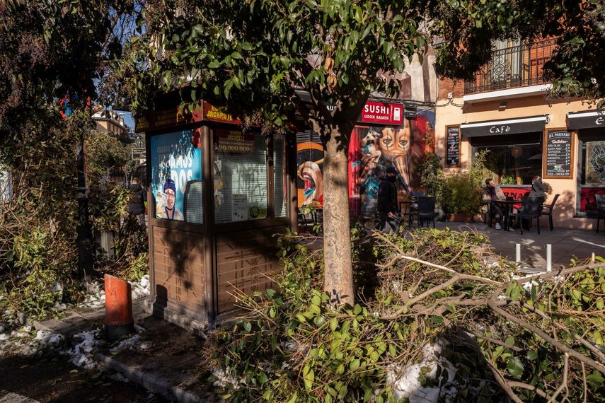 Ramas rotas se amontonan en las calles de Madrid, el jueves 14 de enero de 2021. Con montones de hielo y nieve todavía cubriendo la mayoría de sus calles, la capital española ha comenzado a lidiar con el problema de la basura y los escombros apilados en las calles.