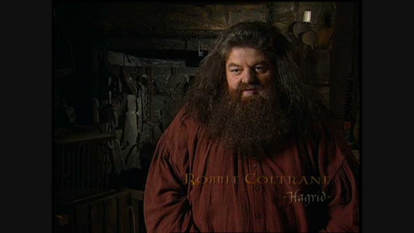 Robbie Coltrane participó en el estreno de Harry Potter and The Deathly Hallows: Part 2, la última película de la serie el 7 de julio de 2011.&nbsp;