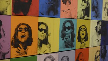 La exposición estará abierta hasta marzo.