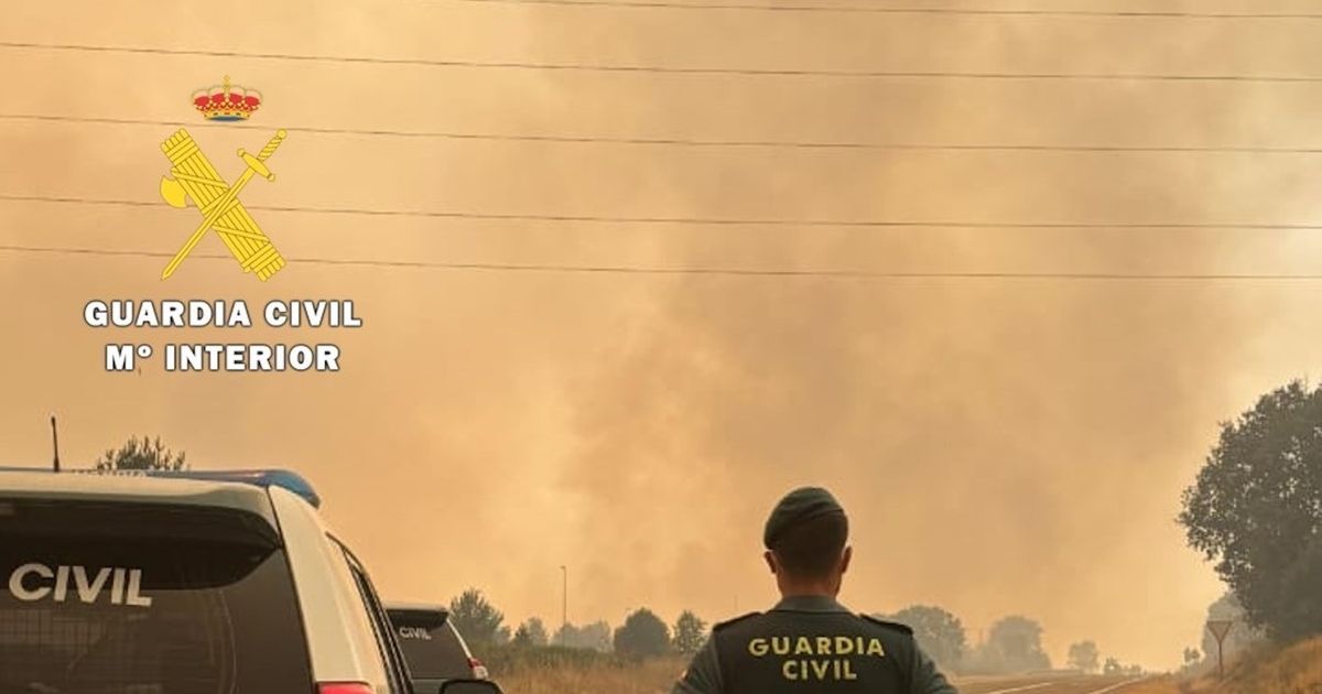 Más de 343.000 hectáreas han ardido en España en 2025, un récord para el país