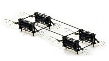 Drones inspirados en mosquitos logran destreza en vuelo&nbsp;