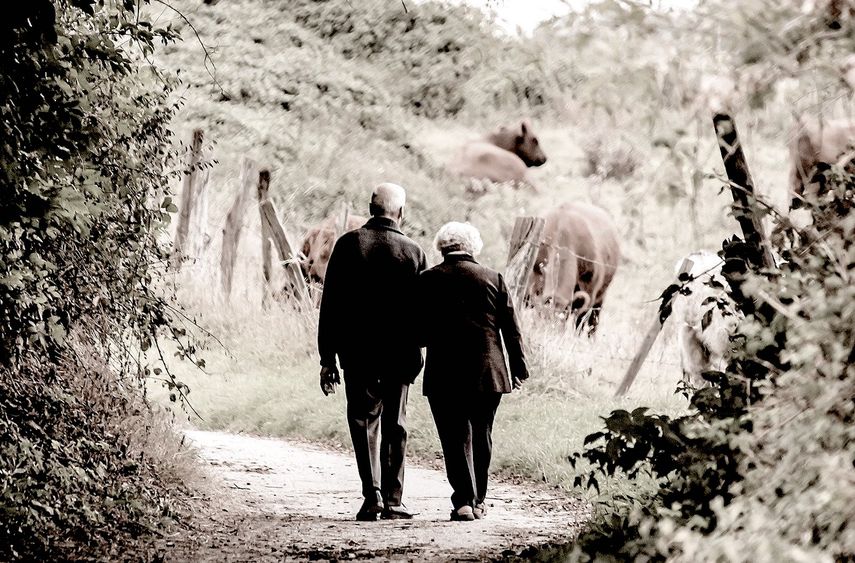 Imagen referencial.&nbsp;