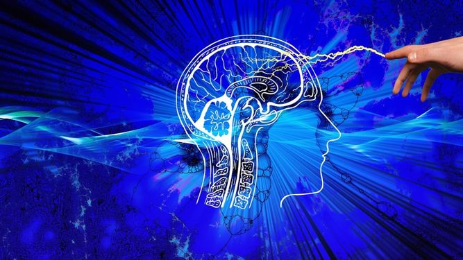 El 8 de junio El Día Internacional de los Tumores del Cerebro