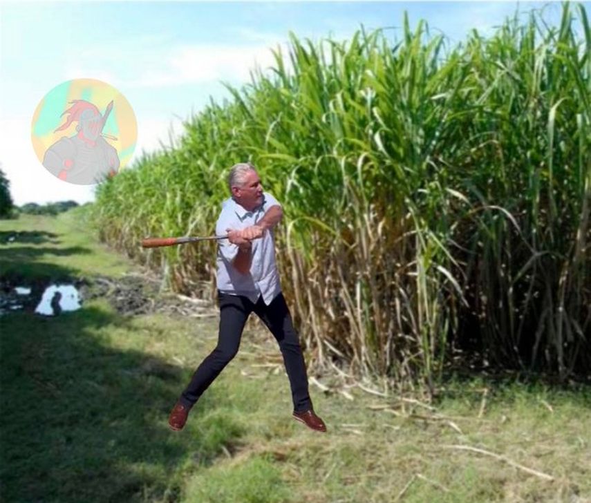 El pelotero de Lis Cuesta