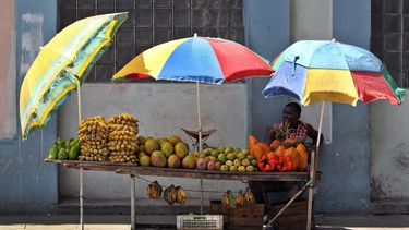 Un hombre vende frutas en una calle de La Habana. (EFE/ARCHIVO)