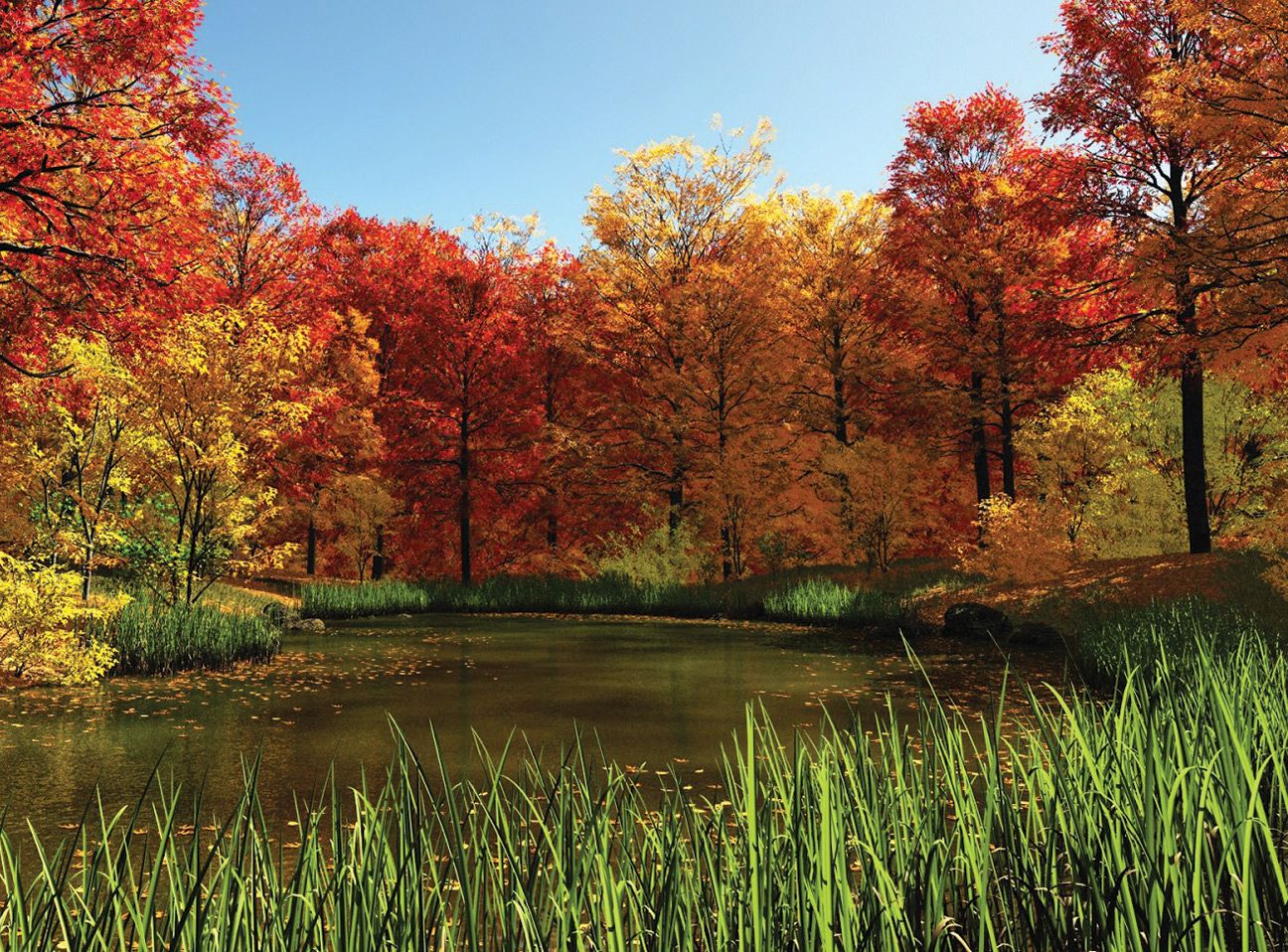 Los mil colores del otoño