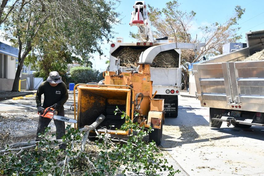 Cuadrillas de trabajadores limpian la vegetación caída por los vientos del huracán Irma.&nbsp;