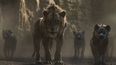 Una escena de The Lion King en una imagen proporcionada por Walt Disney Pictures. El uso de la pared de video LED que se emple&oacute; en &ldquo;The Lion King&rdquo; y &ldquo;The Mandalorian&rdquo; se podr&iacute;a generalizar a medida que Hollywood retoma la producci&oacute;n durante la pandemia.&nbsp;