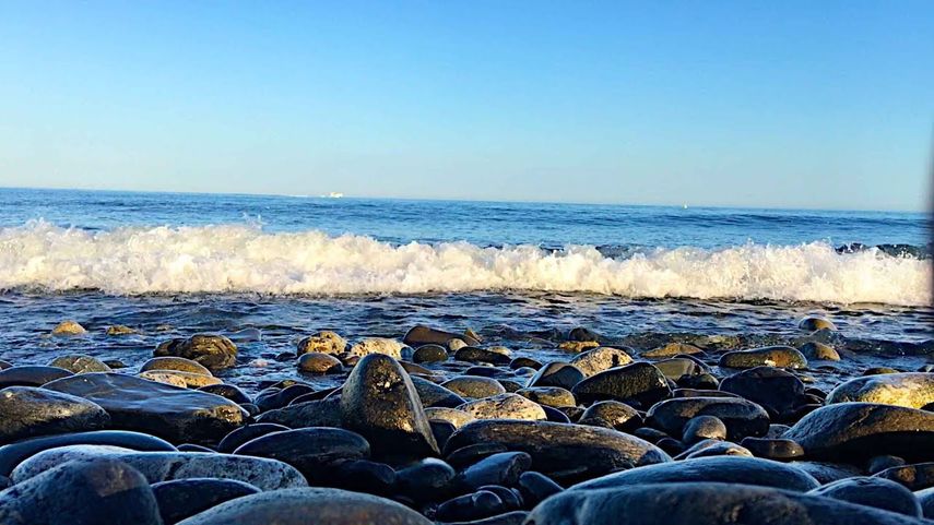 El misterioso Zumbido fue develado gracias a la investigación.&nbsp;