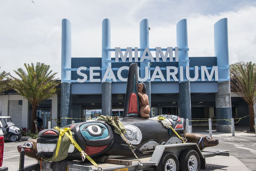 Fotografía cedida por la tribu Lummi donde se muestra un tótem con la imagen de la orca Lolita en el acuario de Miami.