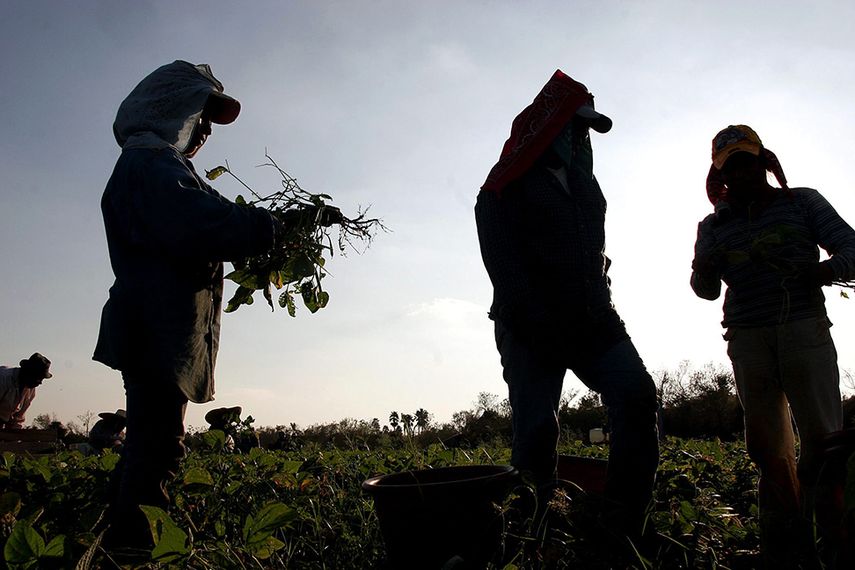 El país deportó a 227.038 inmigrantes indocumentados en 2015 (CORTESÍA)