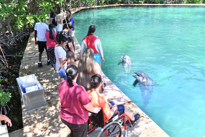 Los delfines son las grandes estrella del Miami Seaquarium.