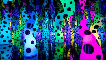 Yayoi Kusama, LOVE IS CALLING, 2013. Institute of Contemporary Art, Boston.&nbsp;