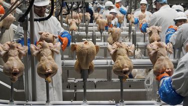 Foto tomada en una planta procesadora de pollo en Fremont, Nebraska el 12 de diciembre del 2019.&nbsp;