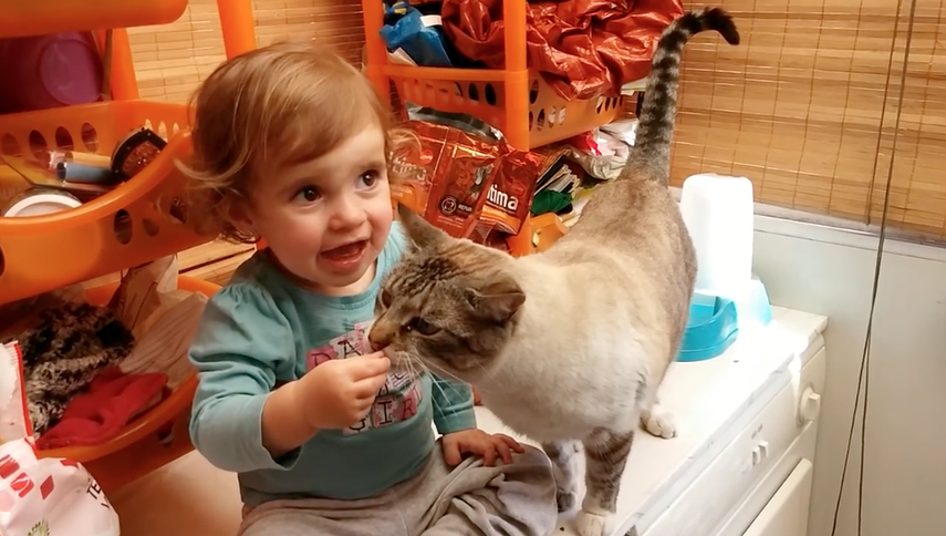 Una niña de 16 meses es grabada por su padre, mientras alimenta al gato de la casa. La cámara registra el momento en que la nena intenta dar pienso al gato, pero no por la boca