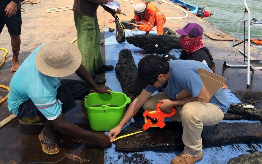 Fotografía sin fechar cedida por la Fundación Terra Firme - Unaltra, donde se muestran aspectos del hallazgo en Cartagena de Indias. (EFE)