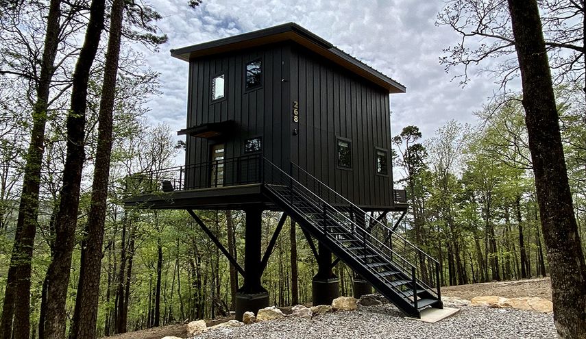 In the Trees, Hot Springs, Arkansas.