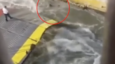 Momento en el que el pasajero cae al mar desde la rampa de un ferry que zarpaba en un puerto de Grecia.&nbsp;