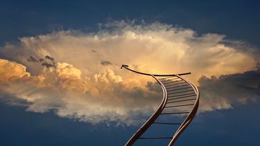 La persona que piensa en el pasado o en el futuro se inmoviliza en el presente.