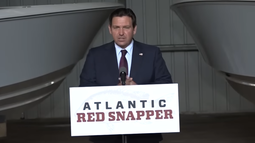 Ron DeSantis, gobernador de Florida. Ron DeSantis, gobernador de Florida.