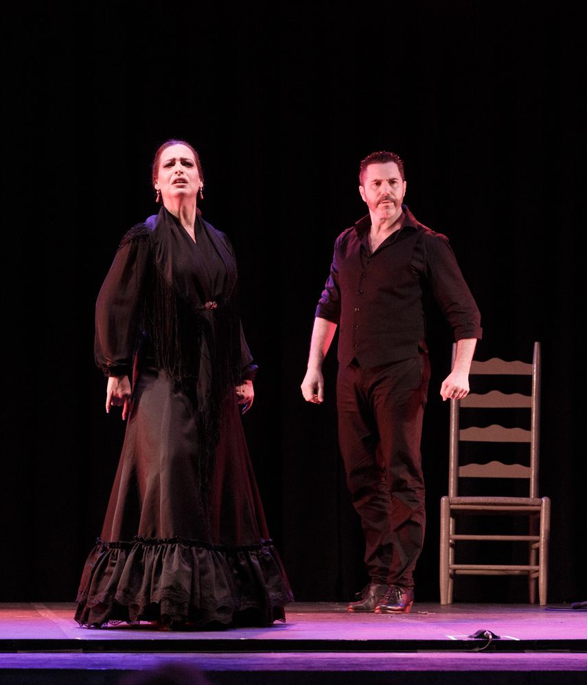 Bailaores de Ballet Flamenco La Rosa.&nbsp;