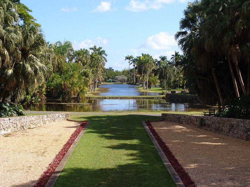 Vista parcial del Fairchild (J.HDEZ)