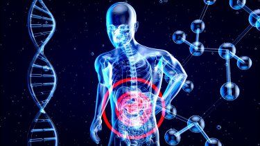 Radiografía del sistema digestivo humano.
