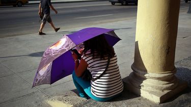 Una mujer bajo una sombrilla conectada a internet, en una zona de WiFi, en el malecón de La Habana. 