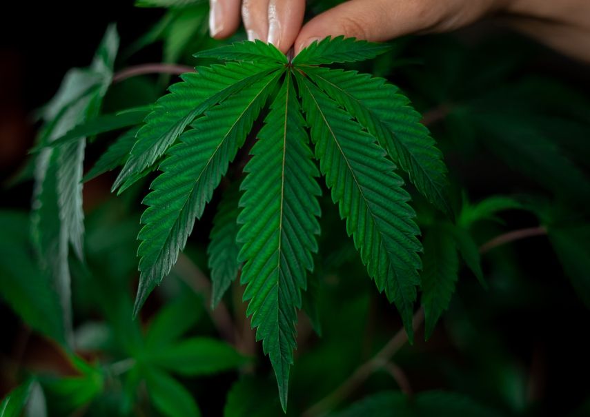 Imagen referencial.&nbsp;