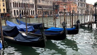 El Gran Canal de Venecia. 