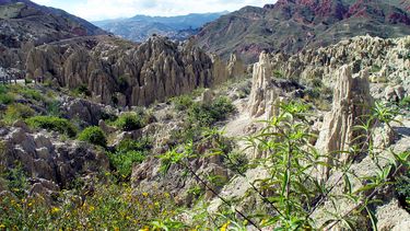 Paisaje boliviano, dañado por incendios.